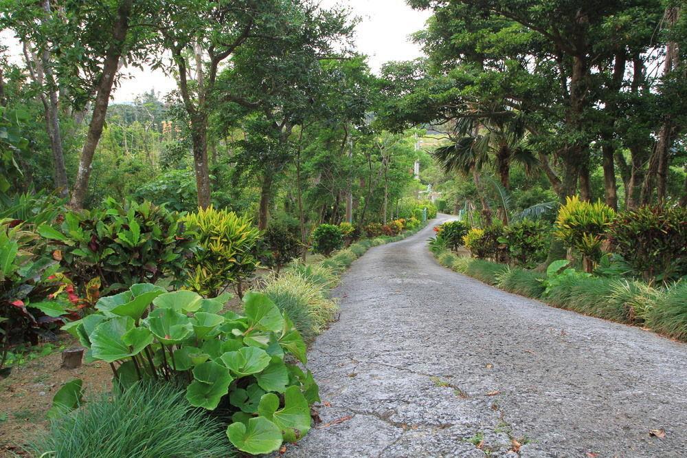 Aloha Hotel Nago Eksteriør bilde
